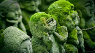 Thumbnail of post image 031