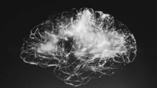Thumbnail of post image 160