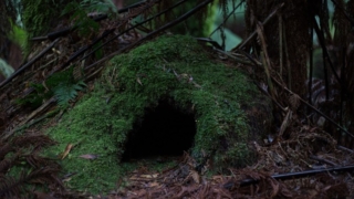 Thumbnail of post image 122