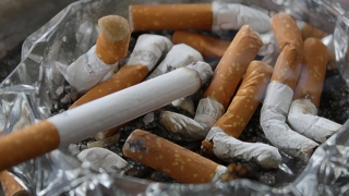 Thumbnail of post image 021