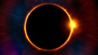 Thumbnail of post image 005