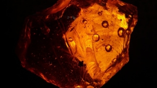 Thumbnail of post image 119