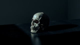Thumbnail of post image 171
