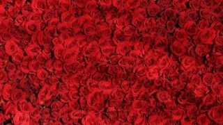 Thumbnail of post image 029